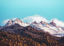 九游体育官方网站：全方位体育体验的理想入口